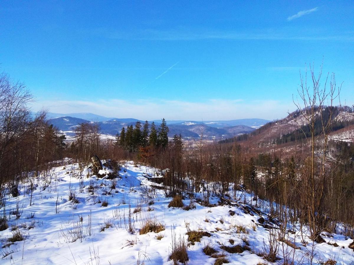 Pod Klonem Z Balia I Sauna Lubawka Esterno foto